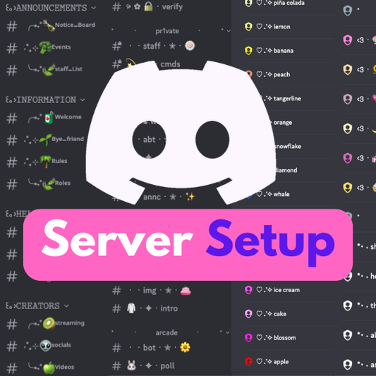 Discord Server FULL Setup
